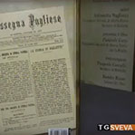 Sabino Loffredo Telesveva