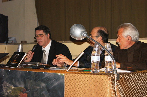 I sogni di un pettirosso