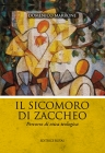 Il sicomoro di Zaccheo